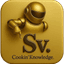 SaintSal™ Logo